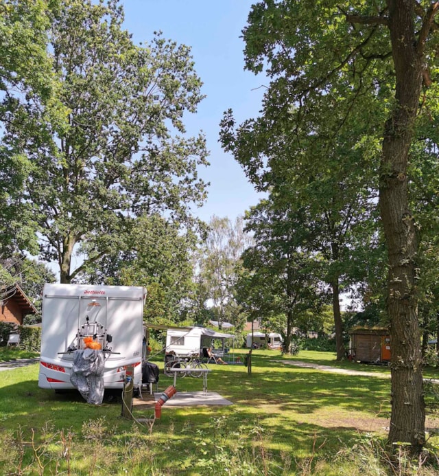 Camping Domein de Schuur