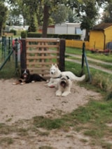 Foto #6 van Camping De Schuur