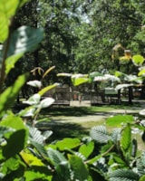 Foto #23 van Camping De Schuur