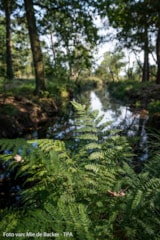 Foto #29 van Camping De Schuur