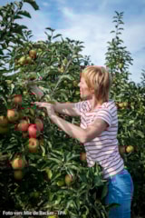 Foto #30 van Camping De Schuur