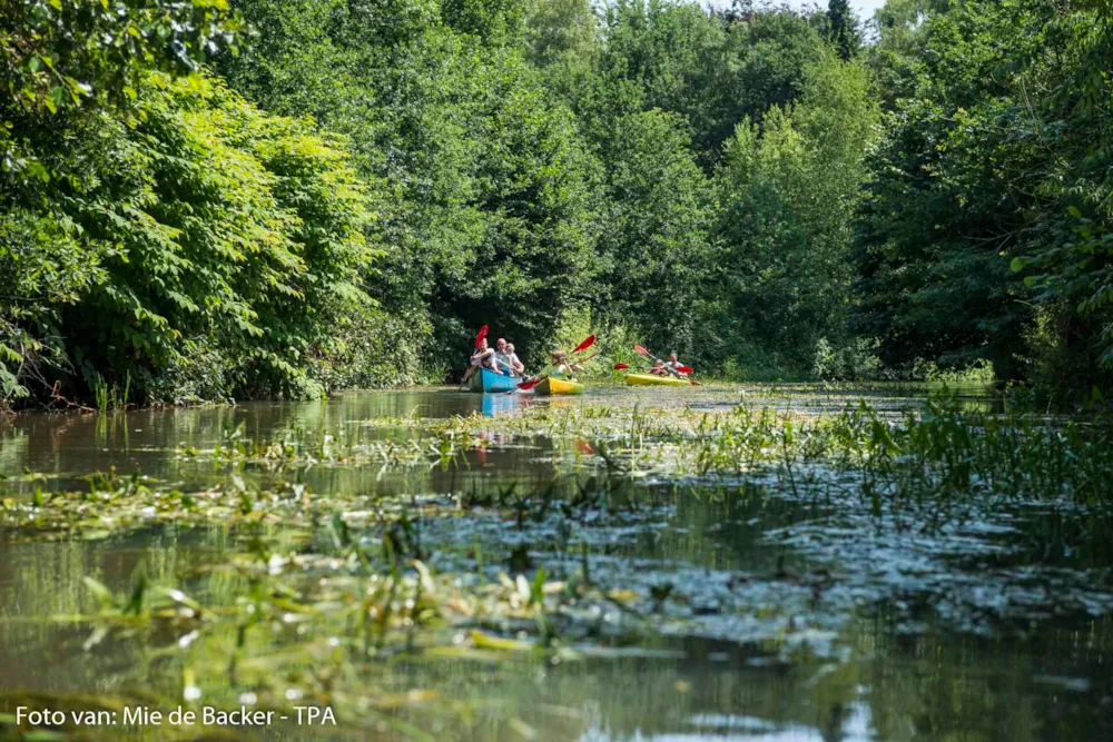 Camping De Schuur