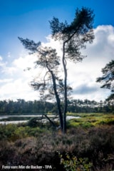 Foto #41 van Camping De Schuur