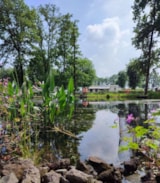 Foto #17 van Camping De Schuur