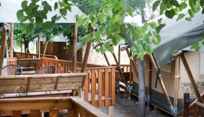 Safari Lodge — 6