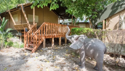 Safari Lodge — 7