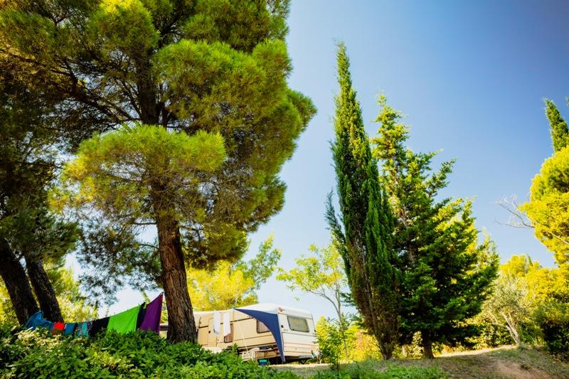 Emplacement - Emplacement Privilege Garden 100M² + Électricité 6 A. - Camping Sites et Paysages La Pinède
