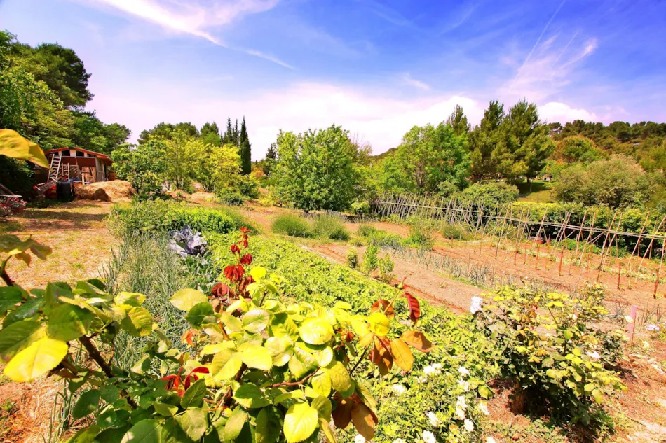 Sites et Paysages Camping La Pinède