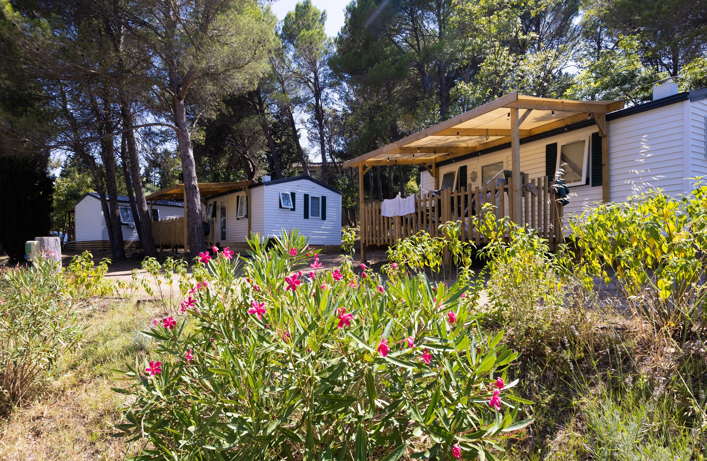 Location - Mobil-Home Privilege 2 Ch. Clim -Tv - 25M². - Camping Sites et Paysages La Pinède