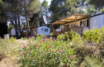 Mietunterkunft - Mobil-Home Privilege 2-Bett. Clim-Tv - 25M². - Sites et Paysages Camping La Pinède