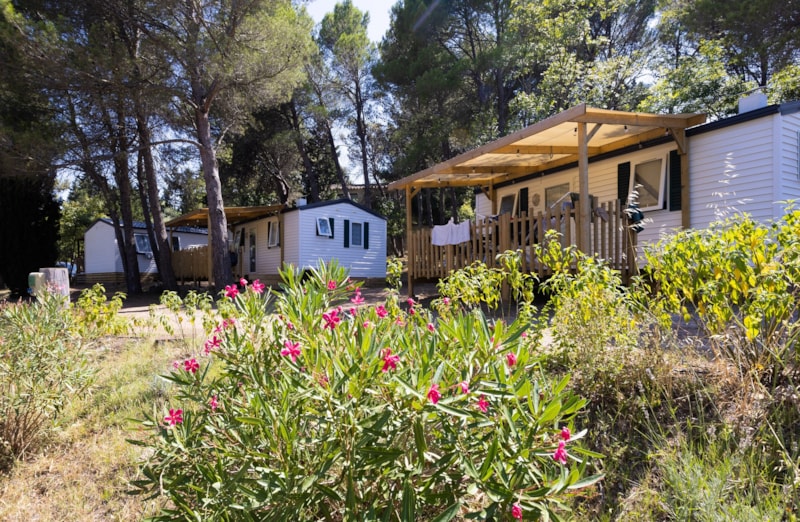 Mobil-Home PRIVILEGE 2-Bett. CLIM-TV - 25m².