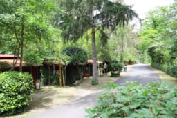 Seven Hills Camping & Village - image n°9 - Roulottes