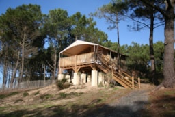 Accommodation - Panorama Lodge Tent With Electricity - CHM de Montalivet