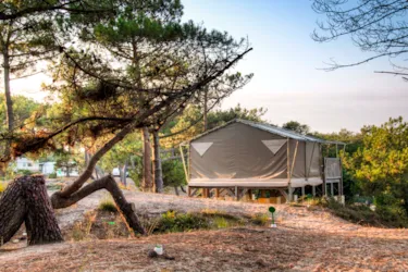 CHM Monta - image n°2 - Camping Direct