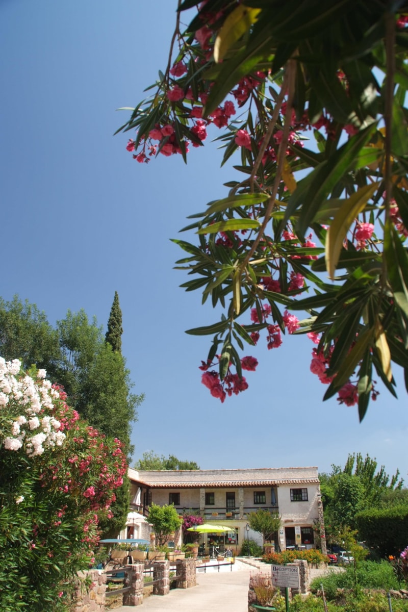 Flower Camping du Moulin des Iscles - Camping - Roquebrune-sur-Argens