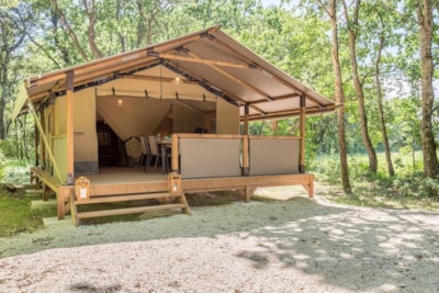 Lodge on piles Confort 34m² 2 bedrooms + sheltered terrace
