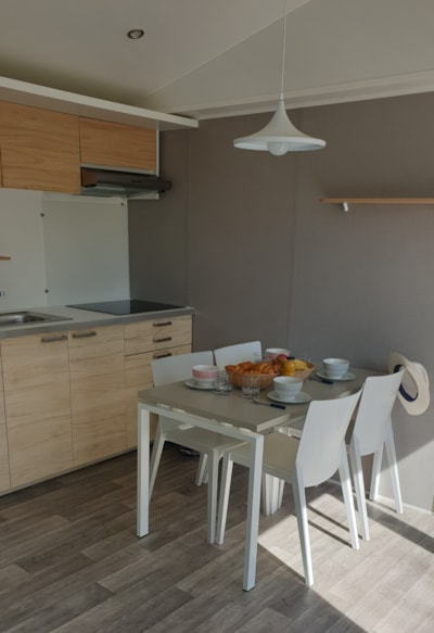 Mobil-home Confort 28m² 2 bedrooms + terrace on piles