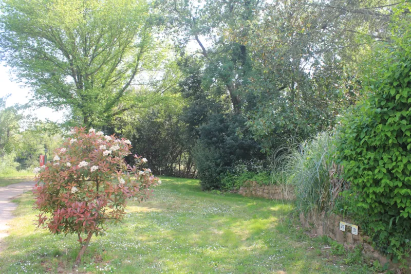 Forfait Confort (1 Tente, Caravane Ou Camping-Car / 1 Voiture / Électricité 10A )+ Raccordement Eau