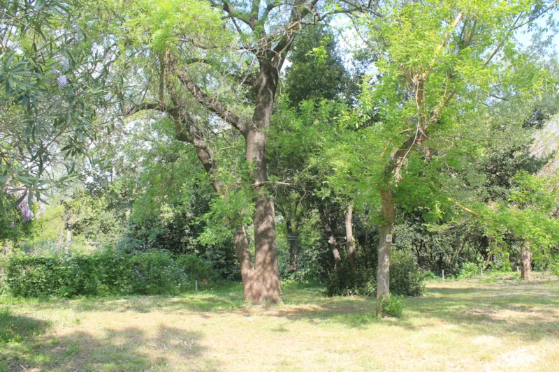 Forfait Confort (1 Tente, Caravane Ou Camping-Car / 1 Voiture / Électricité 10A )+ Raccordement Eau