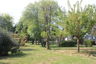 Comfort Package (1 tent, caravan or motorhome / 1 car / electricity 10A ) + water connexion