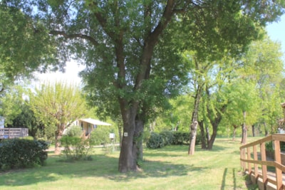 Comfort Package (1 tent, caravan or motorhome / 1 car / electricity 10A ) + water connexion