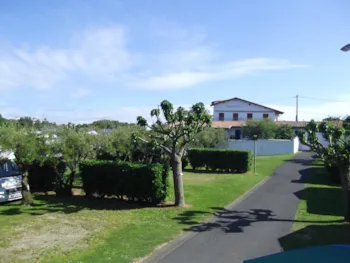 Stellplatz - Stellplatz 'Tourism' + Wohnwagen/Wohnmobil + Strom - Camping Tamaris Plage