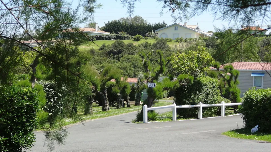 Camping Tamaris Plage