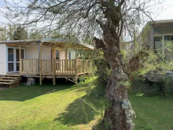 Mietunterkunft - Mobilheim 'Océan' (38M²) - Camping Tamaris Plage