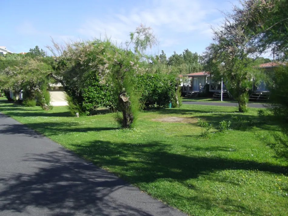 Camping Tamaris Plage