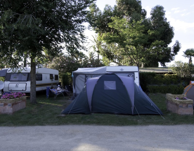 Pitch B (70/85 m²) with dog+  car + tent, caravan or camping-car