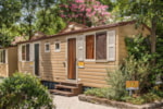 Bungalow Standard Bungalow Standard