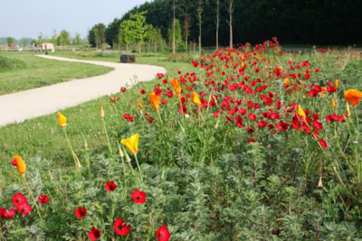 Camping Les Rives du Douet
