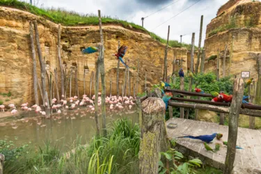 Camping Les Rives du Douet - image n°2 - Camping Direct