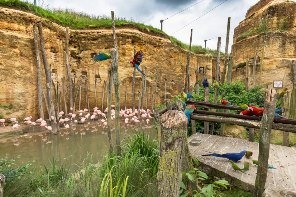 Camping Les Rives du Douet