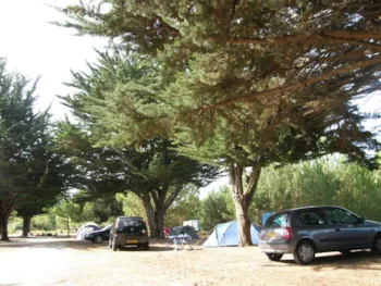 Stellplatz - Pauschale: Stellplatz + Auto - Camping Les Dunes