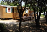 Casa Mobile Texas 32M² Aria Condizionata (3 Camere + Divano Letto) - Tv Casa Mobile Texas 32M² Aria Condizionata (3 Camere + Divano Letto) - Tv