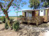 Casa Mobile Idaho 24M² Condizionata (2 Camere) Casa Mobile Idaho 24M² Condizionata (2 Camere)
