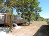 Mobil Home Texas P. 32M² Clim (3 Chambres) Vue Mont Ventoux, Tv+Lave Vaisselle Mobil Home Texas P. 32M² Clim (3 Chambres) Vue Mont Ventoux, Tv+Lave Vaisselle