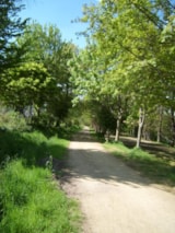 Foto #32 van Val de Landrouet