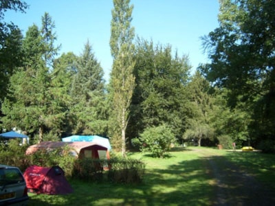 Tent site