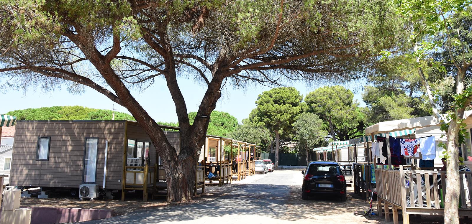 Camping Le Méditerranée Camping Le Méditerranée