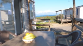 IDAHO VUE MER STANDARD