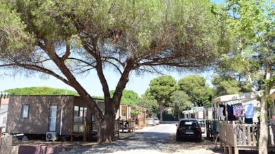 Camping Tikayan Le Méditerranée