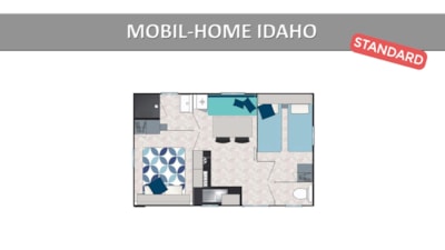 IDAHO STANDARD
