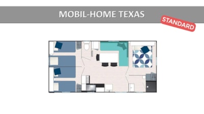 TEXAS STANDARD