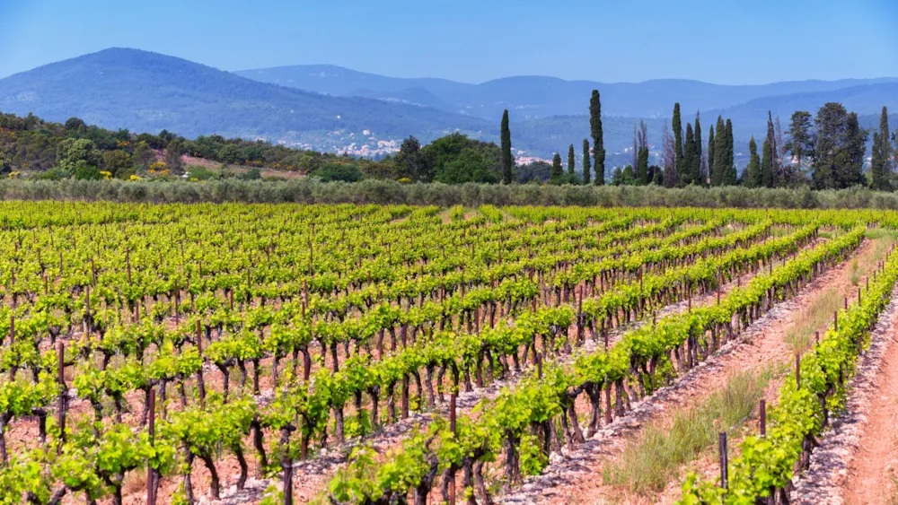 Camping Tikayan Le Méditerranée - image n°46 - UniversalBooking