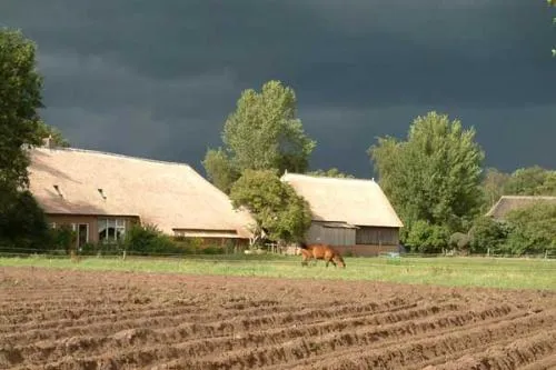 Camping Midden Drenthe - image n°26 - UniversalBooking