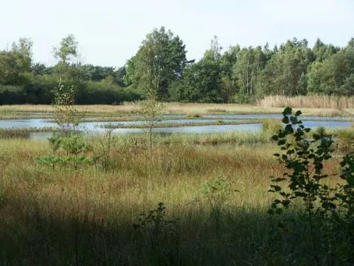 Camping Midden Drenthe - image n°28 - UniversalBooking