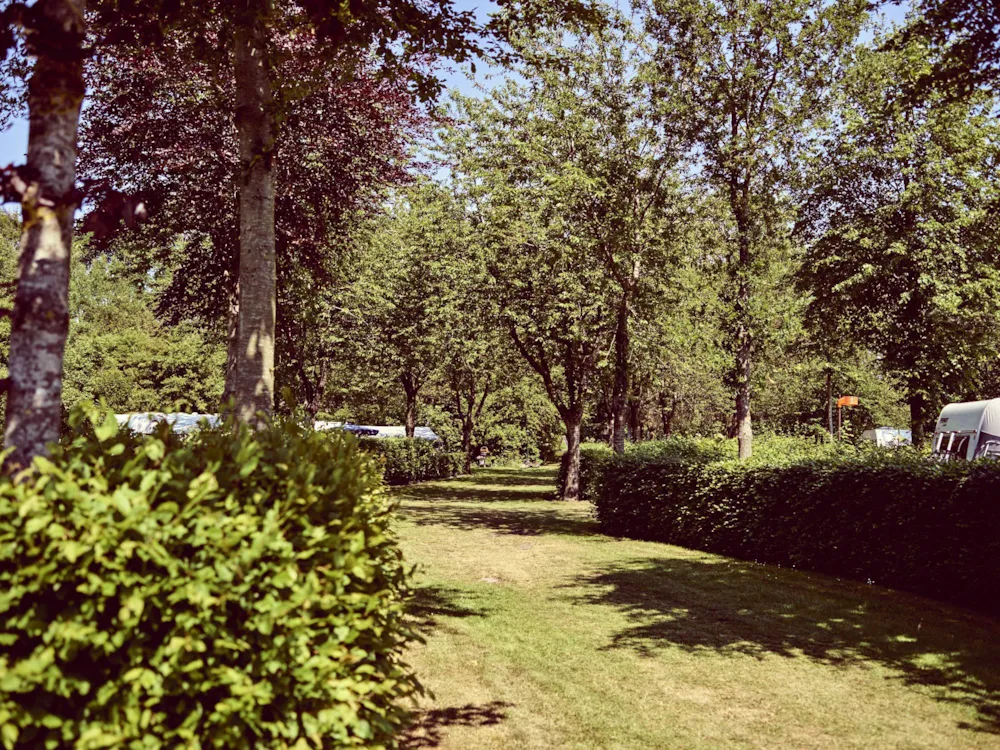 Camping Midden Drenthe - image n°9 - UniversalBooking