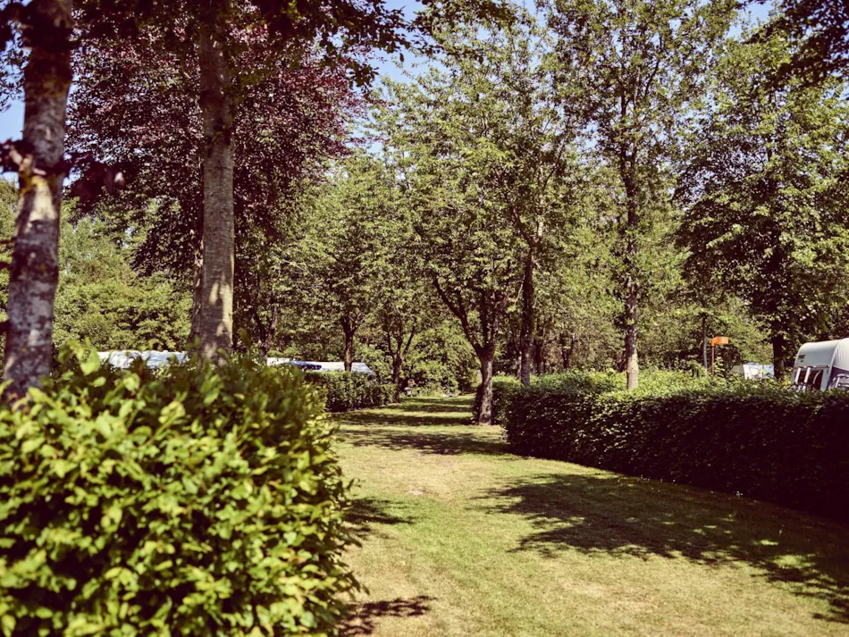 Camping Midden Drenthe